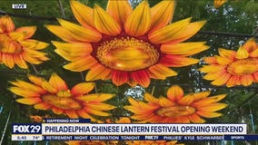 Chinese Lantern Festival is back to brighten summer