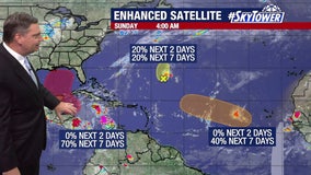 Disturbance near Florida likely to form