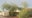 Monsoon storms cause damage across the Valley
