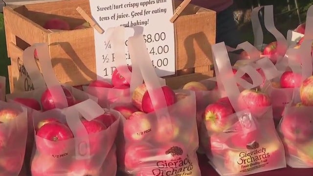 Farmers Market in Thiensville; hand-picked veggies to artisan cheese