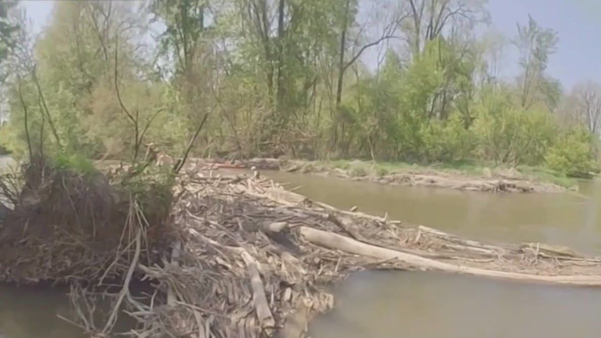 Sterling Heights officer rescues woman from Clinton River