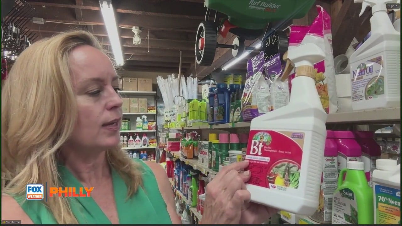 Keeping gardens alive in heat, organic fertilizers | Tuesdays with Toni