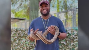 Lost boa constrictor back home with original owner