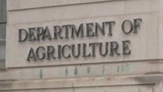 Federal firings force challenging money moves