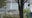 Tampa considers allowing more multi-family homes