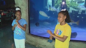Two Houston sisters looking for family to adopt them | Finding Families