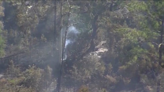 How ‘thirstwaves’ impact soil and plants