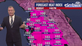 Tampa weather | Hot with low rain chances