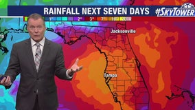 Tampa weather | tropical disturbance coming together