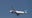 Denver airport outage causes more travel concerns