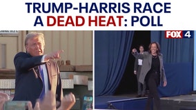 Polls: Trump-Harris in dead heat nationwide