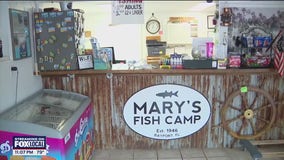 Tropical Storm Debby: Coastal business prepare for storm surge