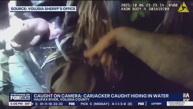 Accused armed carjacker jumped into river to attempt escape, deputies say