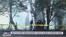 Brush fires surging in Seattle's dried up areas