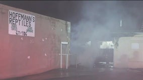 Concord fire damages reptile business, donut shop