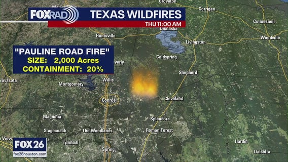 San Jacinto County wildfire and the start of spring 2025 | Forecasting with Friends