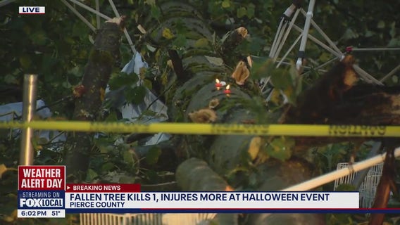 1 dead, several injured after tree falls near Roy, WA during Halloween event