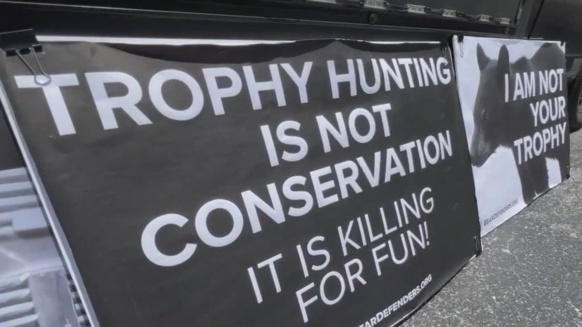 Florida moves closer to reinstating bear hunting