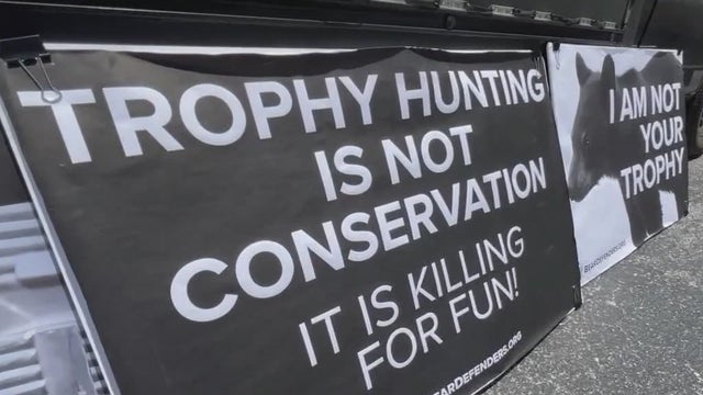 Florida moves closer to reinstating black bear hunting with new rule proposal