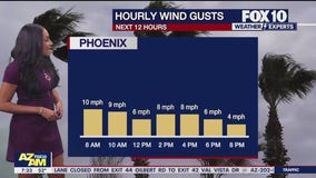 Morning Weather Forecast - 12/8/24