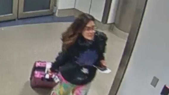 Hannah Kobayashi: Missing Hawaii woman intentionally missed flight at LAX, police say