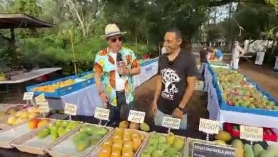 Mango Madness takes over at The Reid Farm