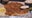 Fish fry