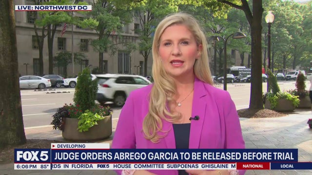 Kilmar Abrego Garcia's release from federal custody paused by judge