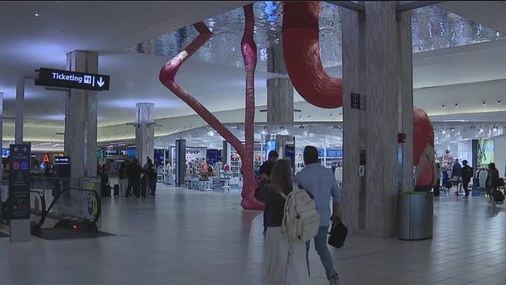 FAA cuts flights due to government shutdown