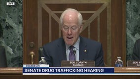 Senate hearing targets Hezbollah's 'Global Gangsters' and Latin American drug trade | ChicagoLIVE