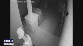 Video: Drone carrying drugs crashes into Lutz home, suspect arrested after knocking on door