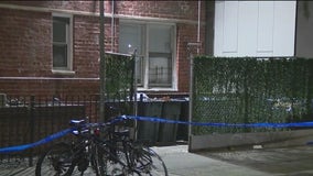 Head and torso found in Brooklyn garbage bin, sources say