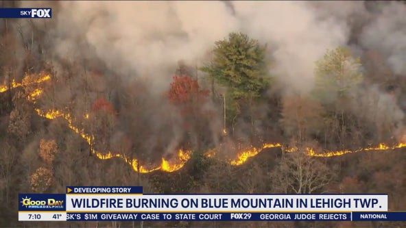 Wildfire on Blue Mountain burns over 150 acres, still uncontained