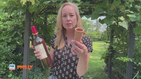 Tuesdays with Toni: How to preserve water amid summer | FOX Weather Philly