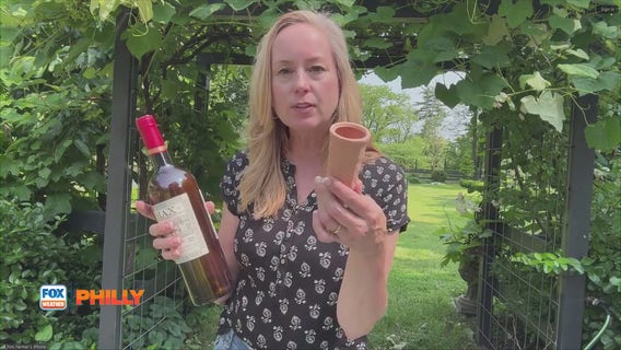 Tuesdays with Toni: How to preserve water amid summer | FOX Weather Philly