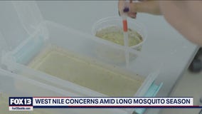 West Nile concerns amid long mosquito season