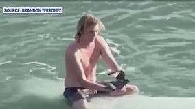 Florida surfer saves bird from drowning in ocean