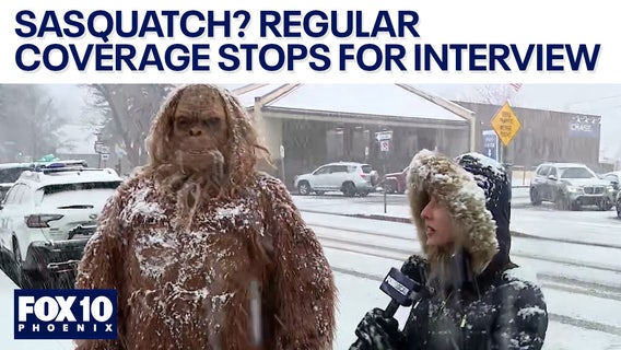 Sasquatch? Reporter's surprising interview l FOX 10 Talks