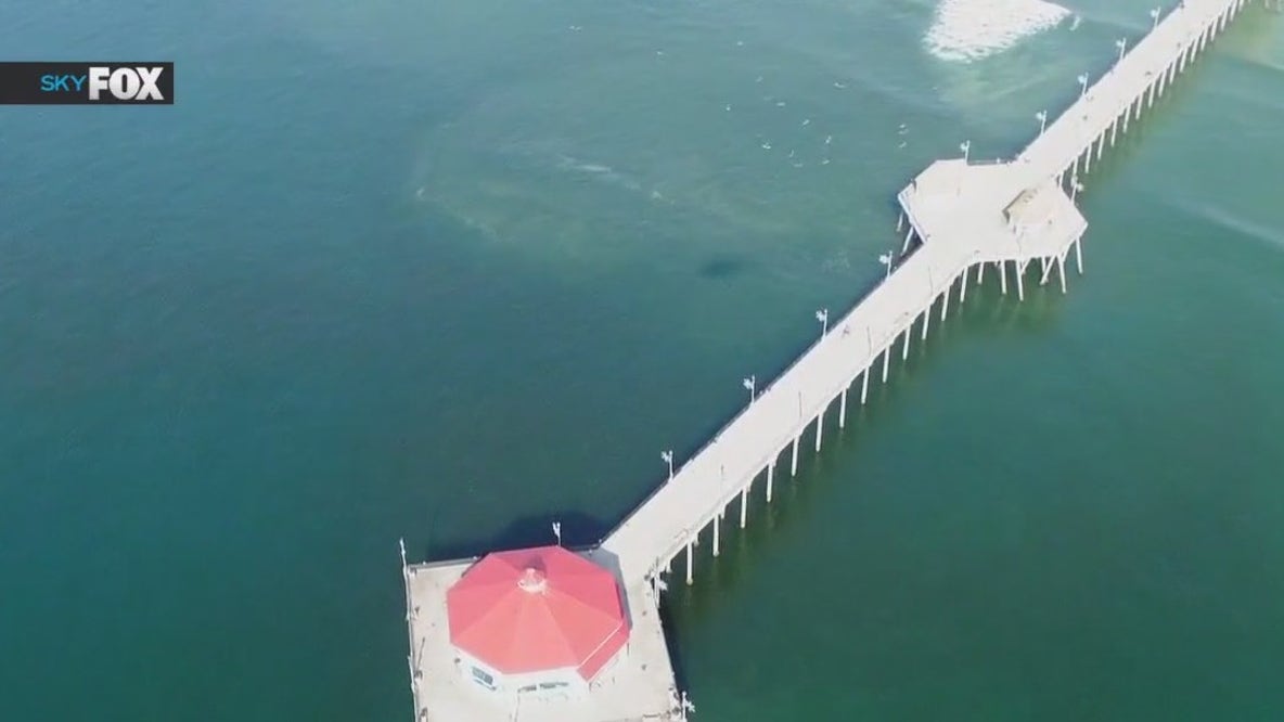 Shark spotted in Huntington Beach