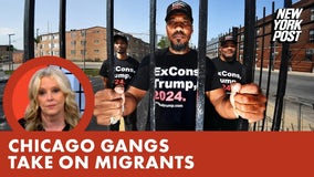 Chicago gangbangers rage against migrants