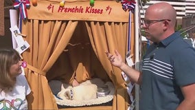 Bulldog kissing booth at Bastille Days