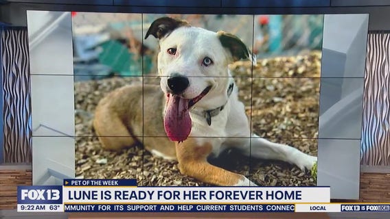 Pet of the Week: Lune