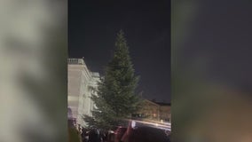 Christmas tree lighting goes wrong in Dublin