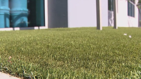 How to be water smart and still have a green lawn