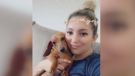 Family of killed Houston woman searching for lost dog dumped on the freeway