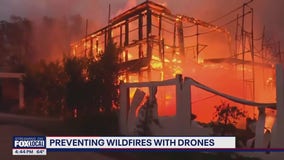 Preventing wildfires with drones