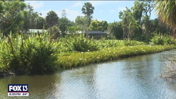 Army Corps of Engineers gives greenlight to dredge Phillippi Creek