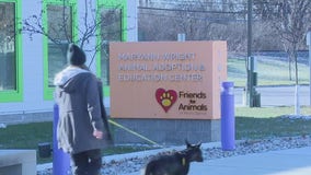 Friends for Animals wants Metro Detroiters to bring home a furry friend for the holidays