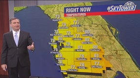 Tampa weather | Cloudy sky leads to moderate temperatures