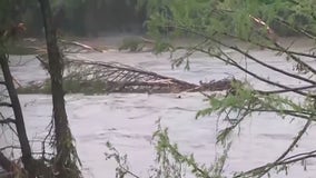 Texas flooding: Rep. Buddy Carter says granddaughters were at camp